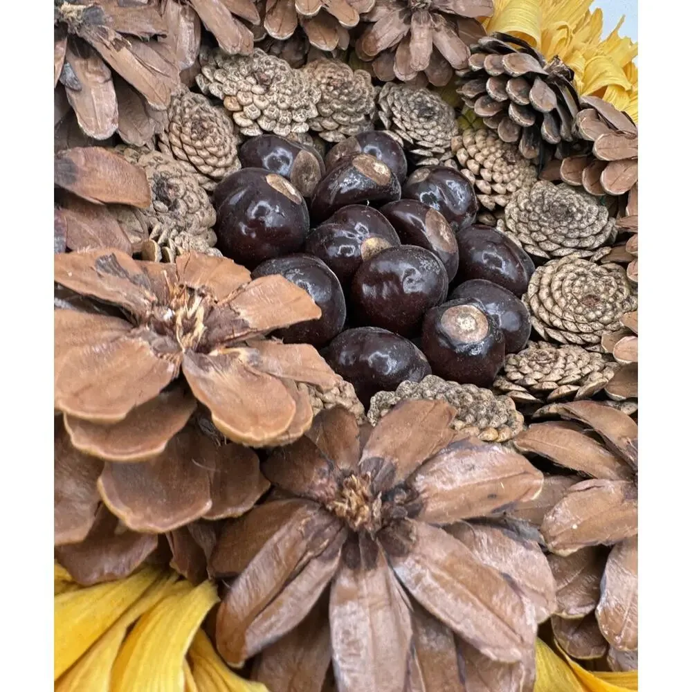 Corn Husk Sunflower Shaped Wreath Hanging Decor Pine Cones Buckeye Nuts 16